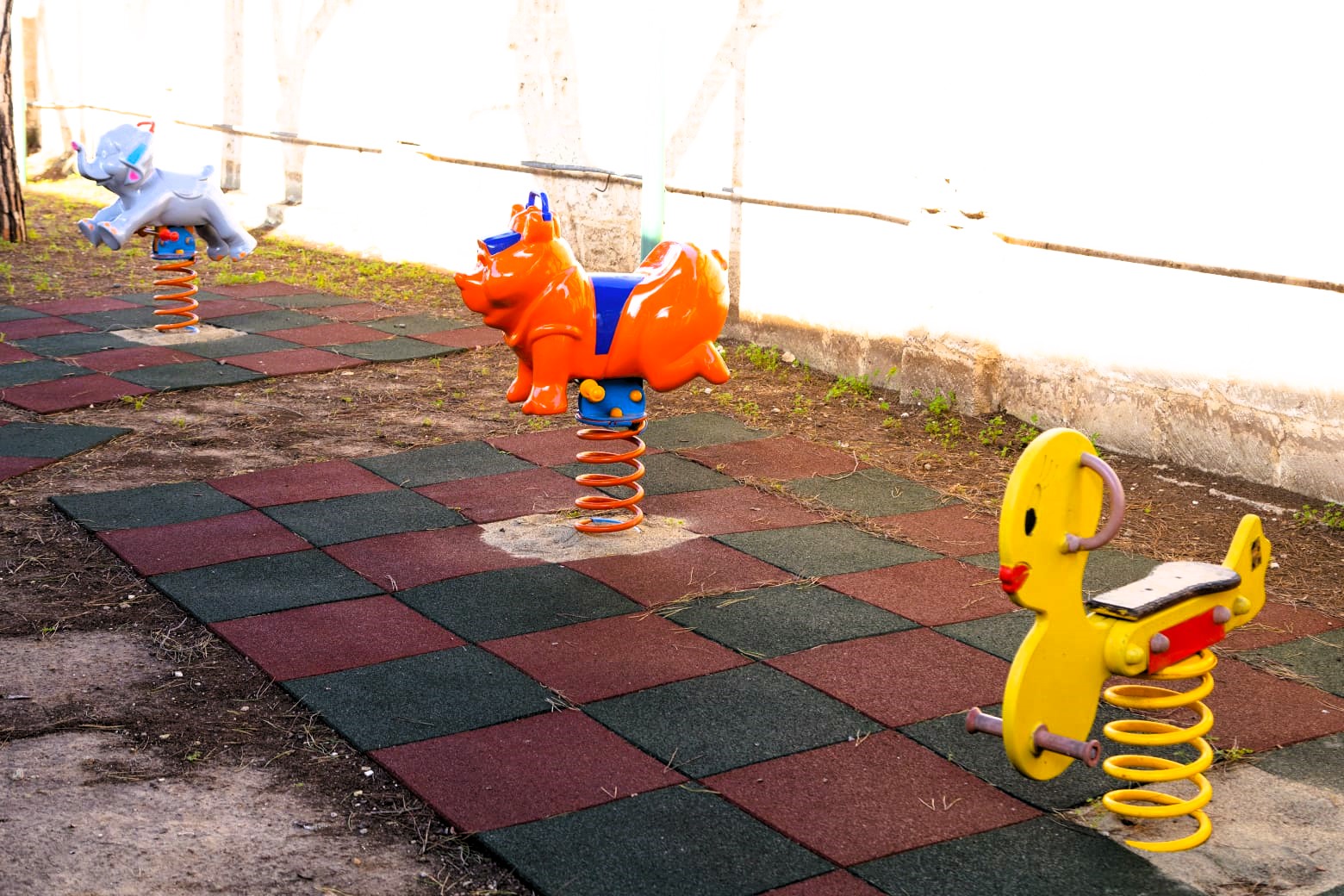 PHOTO-2026-01-20-09-04-18