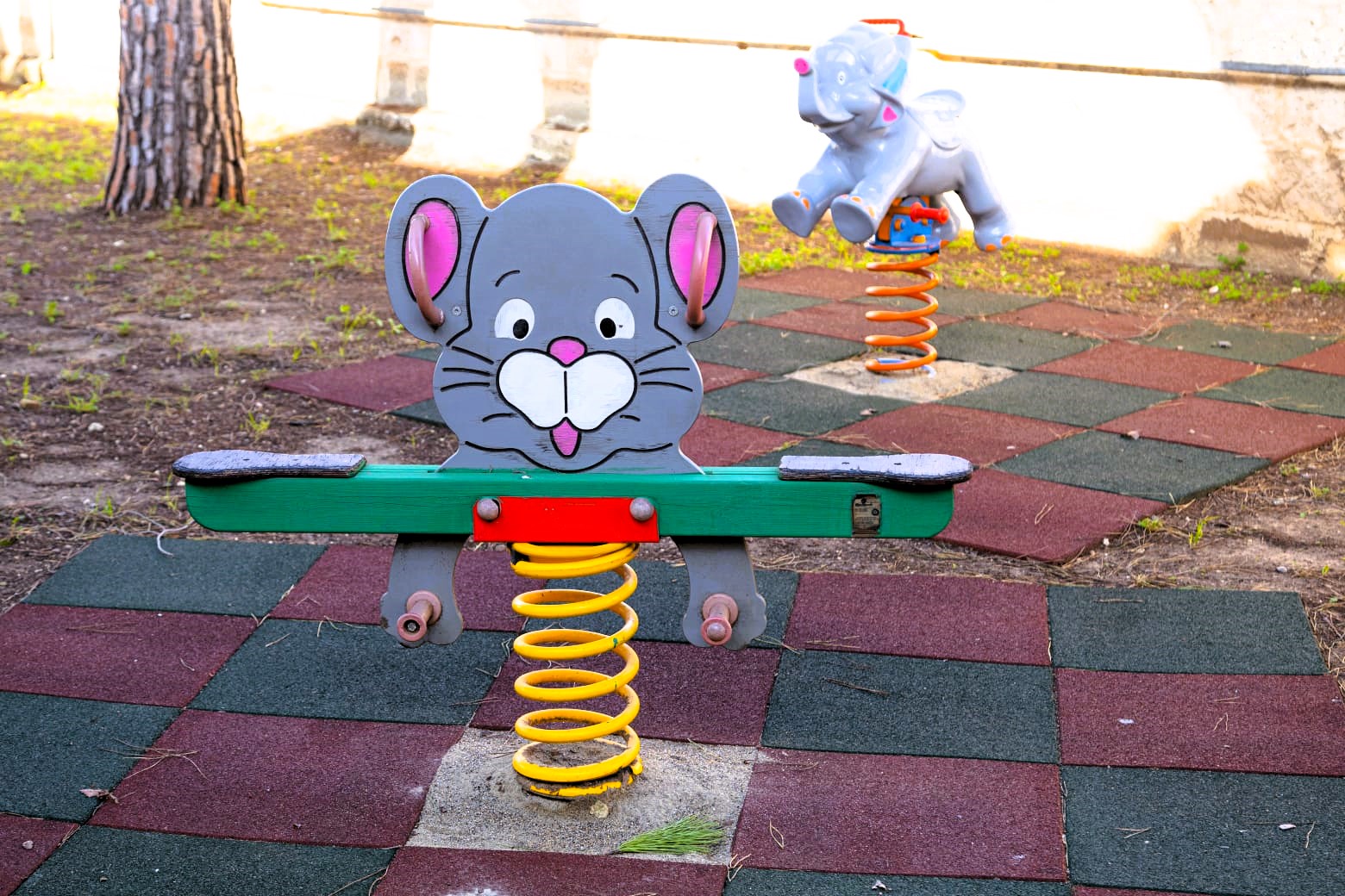 PHOTO-2026-01-20-09-04-18(1)