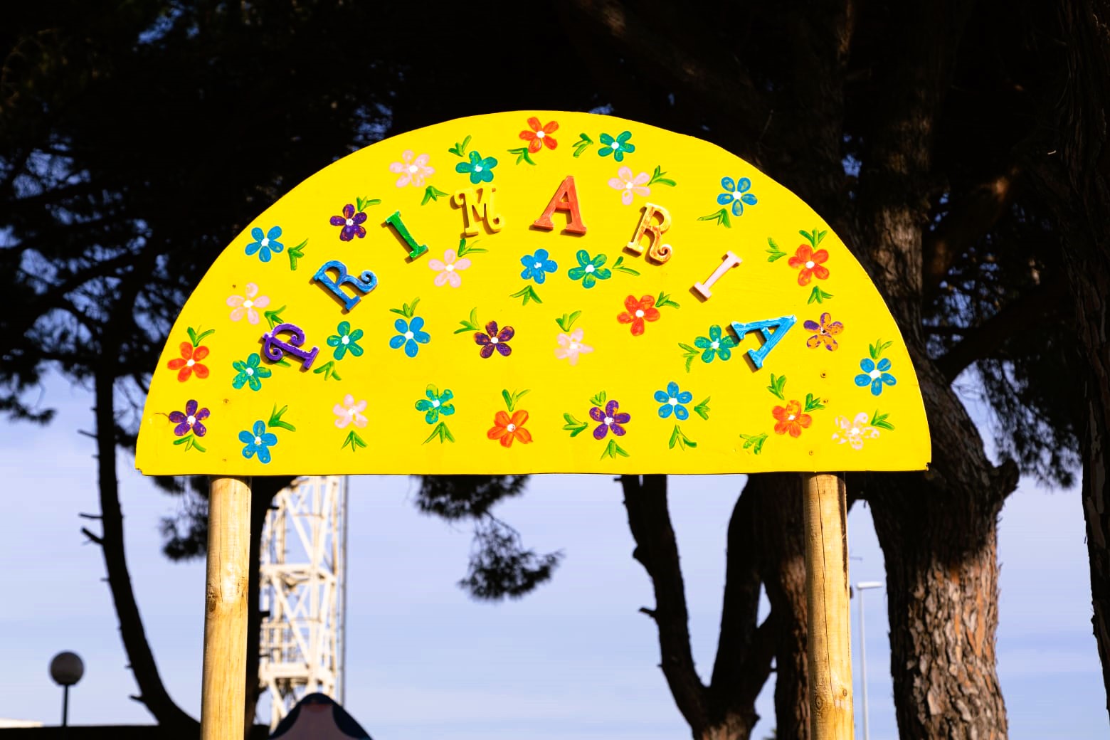 PHOTO-2026-01-20-09-04-18(2)