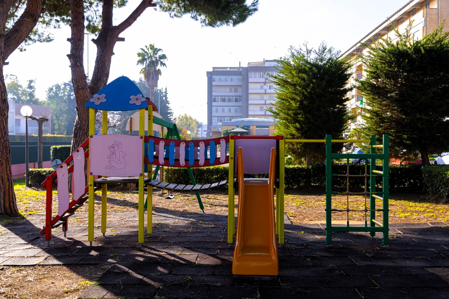 PHOTO-2026-01-20-09-04-19(2)